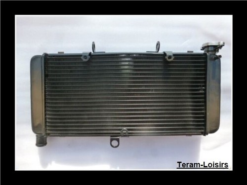 Radiatore per honda cbr 900 - radiatore,